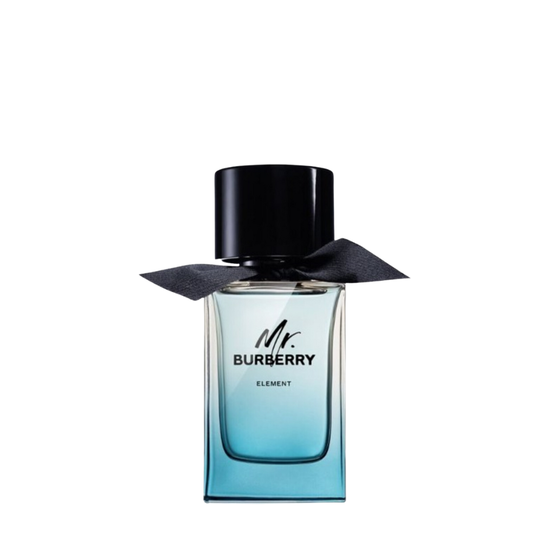 Mr. Burberry Element Burberry for men