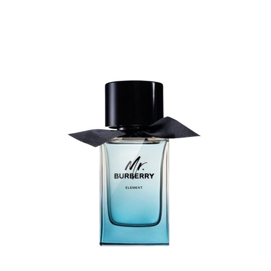 Mr. Burberry Element Burberry for men