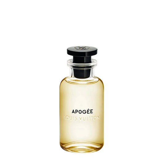 Louis Vuitton Apogee For Mem